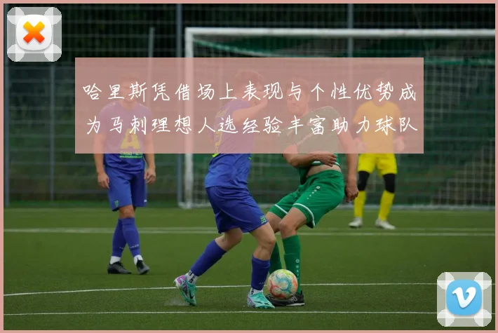 哈里斯凭借场上表现与个性优势成为马刺理想人选经验丰富助力球队发展