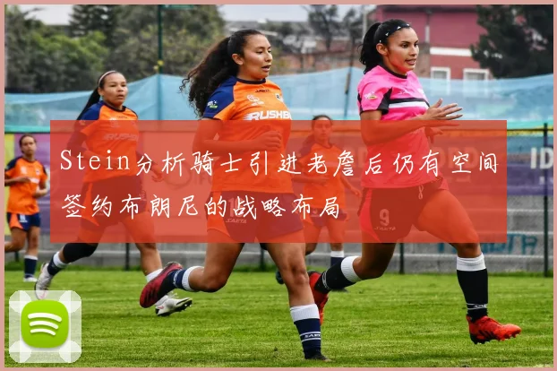 Stein分析骑士引进老詹后仍有空间签约布朗尼的战略布局
